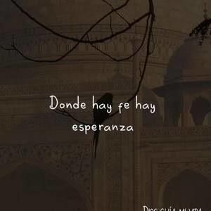 Meet your Posher, Reyna